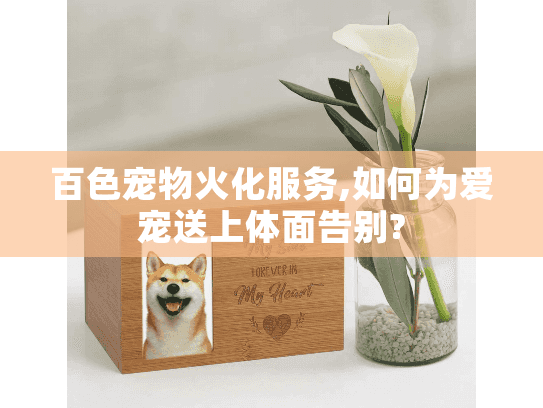 百色宠物火化服务,如何为爱宠送上体面告别?