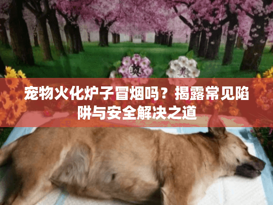 宠物火化炉子冒烟吗？揭露常见陷阱与安全解决之道