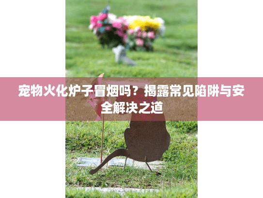 宠物火化炉子冒烟吗？揭露常见陷阱与安全解决之道