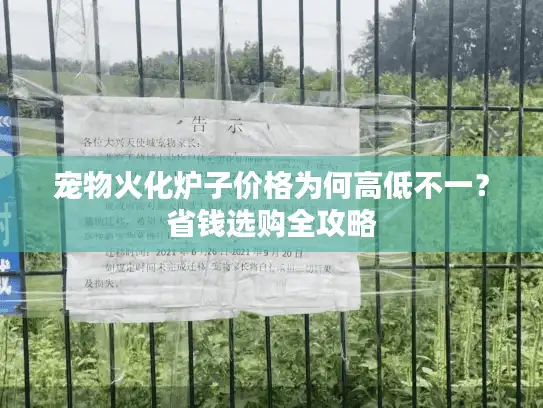 宠物火化炉子价格为何高低不一？省钱选购全攻略