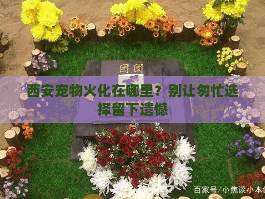 西安宠物火化在哪里？别让匆忙选择留下遗憾