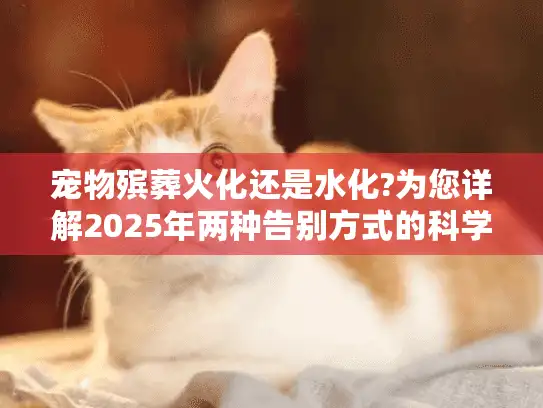 宠物殡葬火化还是水化?为您详解2025年两种告别方式的科学选择 宠物殡葬火化还是水化?为您详解2025年两种告别方式的科学选择