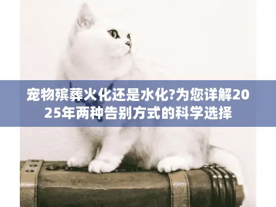 宠物殡葬火化还是水化?为您详解2025年两种告别方式的科学选择 宠物殡葬火化还是水化?为您详解2025年两种告别方式的科学选择