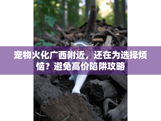宠物火化广西附近，还在为选择烦恼？避免高价陷阱攻略