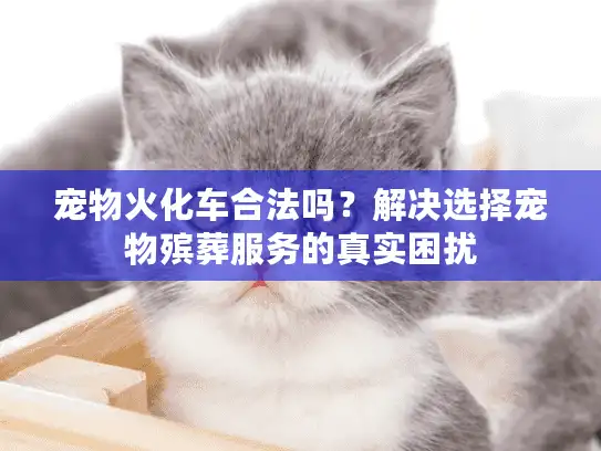 宠物火化车合法吗？解决选择宠物殡葬服务的真实困扰