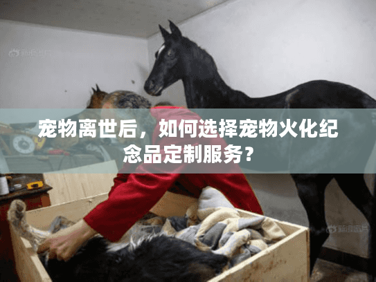 宠物离世后，如何选择宠物火化纪念品定制服务？