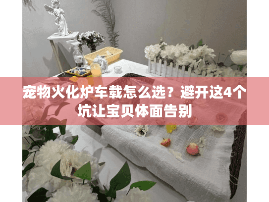 宠物火化炉车载怎么选?避开这4个坑让宝贝体面告别 宠物火化炉车载怎么选?避开这4个坑让宝贝体面告别