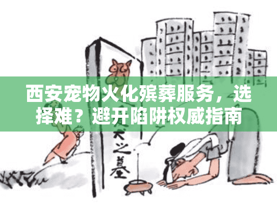 西安宠物火化殡葬服务，选择难？避开陷阱权威指南