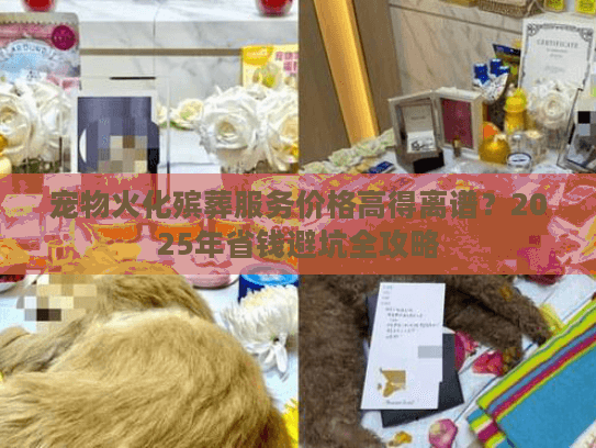 宠物火化殡葬服务价格高得离谱？2025年省钱避坑全攻略