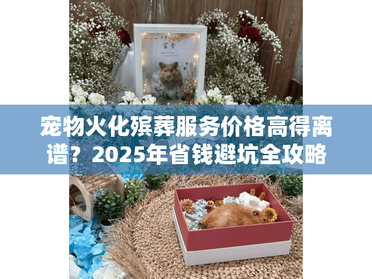 宠物火化殡葬服务价格高得离谱？2025年省钱避坑全攻略