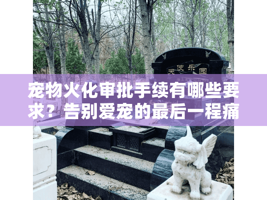 宠物火化审批手续有哪些要求?告别爱宠的最后一程痛点多重拆解 宠物火化审批手续有哪些要求?告别爱宠的最后一程痛点多重拆解