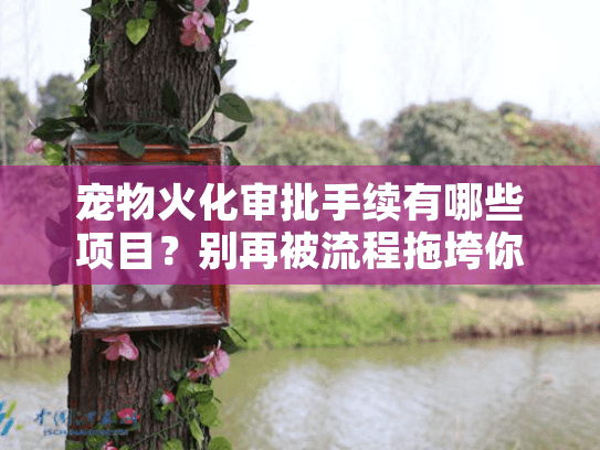 宠物火化审批手续有哪些项目？别再被流程拖垮你的告别时间！