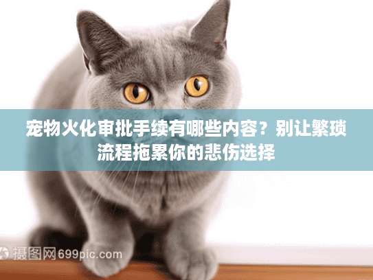 宠物火化审批手续有哪些内容?别让繁琐流程拖累你的悲伤选择 宠物火化审批手续有哪些内容?别让繁琐流程拖累你的悲伤选择