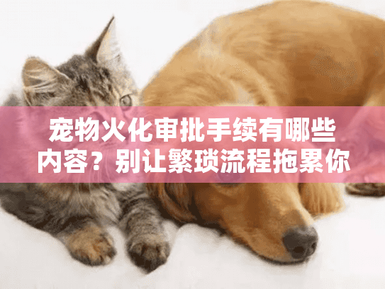 宠物火化审批手续有哪些内容?别让繁琐流程拖累你的悲伤选择 宠物火化审批手续有哪些内容?别让繁琐流程拖累你的悲伤选择