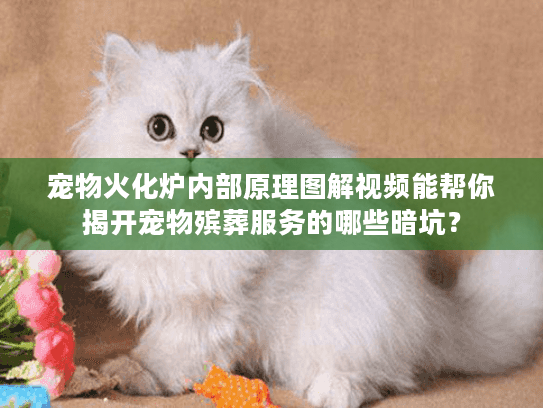 宠物火化炉内部原理图解视频能帮你揭开宠物殡葬服务的哪些暗坑？