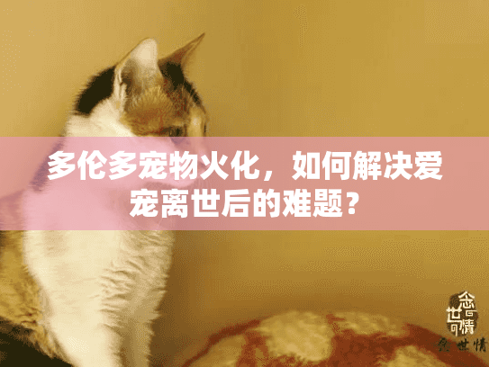 多伦多宠物火化,如何解决爱宠离世后的难题? 多伦多宠物火化,如何解决爱宠离世后的难题?