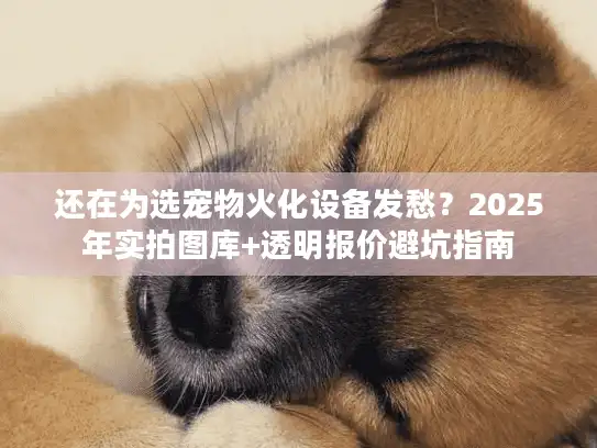 还在为选宠物火化设备发愁?2025年实拍图库+透明报价避坑指南 还在为选宠物火化设备发愁?2025年实拍图库+透明报价避坑指南
