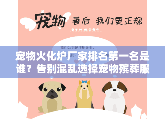 宠物火化炉厂家排名第一名是谁？告别混乱选择宠物殡葬服务的终极指南