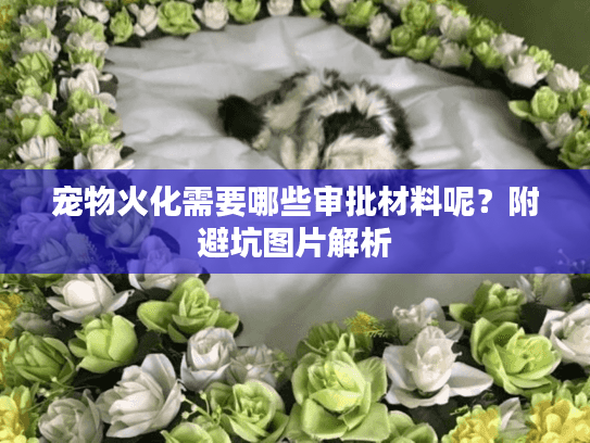 宠物火化需要哪些审批材料呢？附避坑图片解析