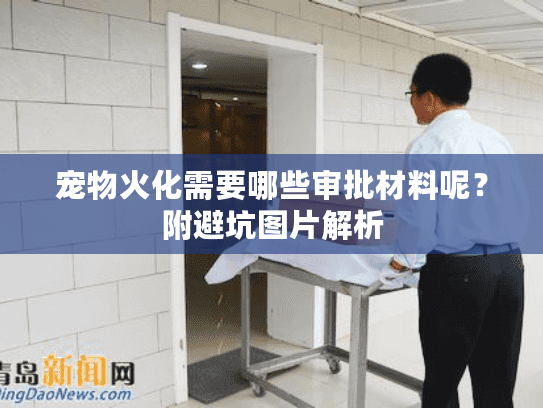 宠物火化需要哪些审批材料呢？附避坑图片解析