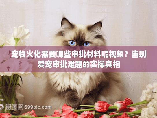 宠物火化需要哪些审批材料呢视频？告别爱宠审批难题的实操真相