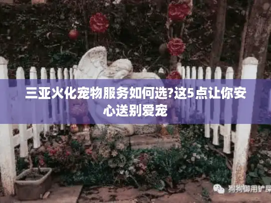 三亚火化宠物服务如何选?这5点让你安心送别爱宠 三亚火化宠物服务如何选?这5点让你安心送别爱宠