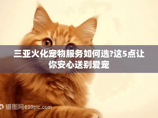 三亚火化宠物服务如何选?这5点让你安心送别爱宠 三亚火化宠物服务如何选?这5点让你安心送别爱宠