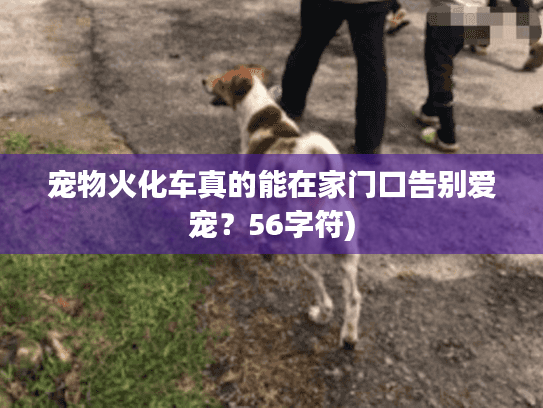 宠物火化车真的能在家门口告别爱宠？56字符)