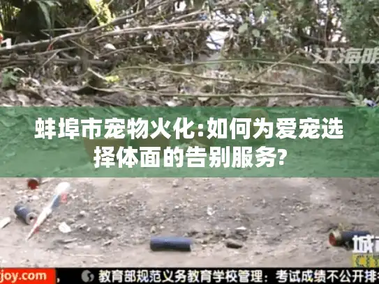 蚌埠市宠物火化:如何为爱宠选择体面的告别服务?
