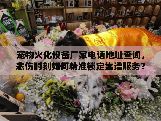 宠物火化设备厂家电话地址查询，悲伤时刻如何精准锁定靠谱服务？