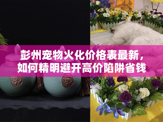 彭州宠物火化价格表最新，如何精明避开高价陷阱省钱又安心