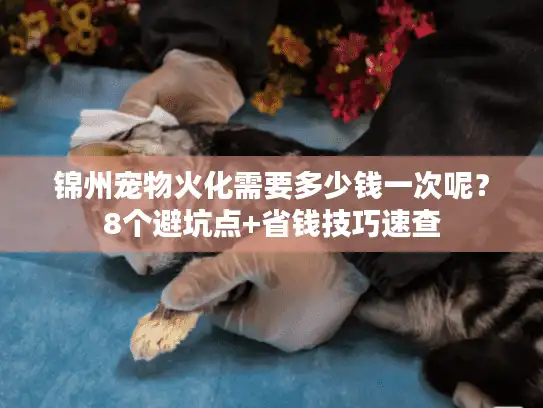 锦州宠物火化需要多少钱一次呢?8个避坑点+省钱技巧速查 锦州宠物火化需要多少钱一次呢?8个避坑点+省钱技巧速查