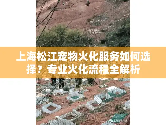 上海松江宠物火化服务如何选择?专业火化流程全解析 上海松江宠物火化服务如何选择?专业火化流程全解析