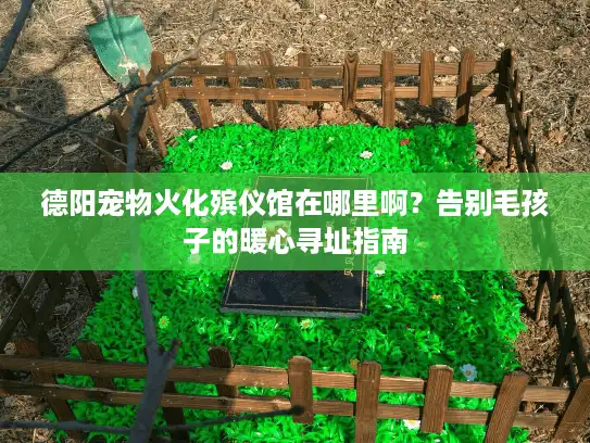 德阳宠物火化殡仪馆在哪里啊？告别毛孩子的暖心寻址指南