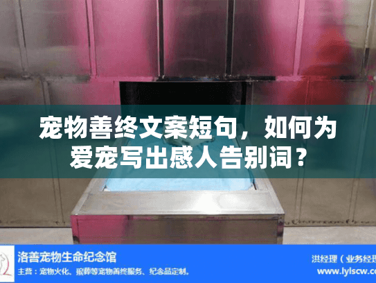 宠物善终文案短句，如何为爱宠写出感人告别词？