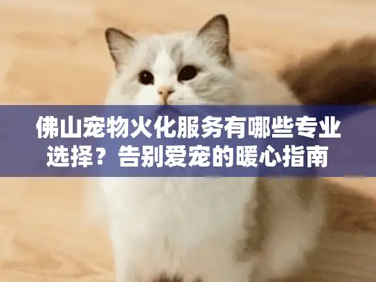 佛山宠物火化服务有哪些专业选择？告别爱宠的暖心指南