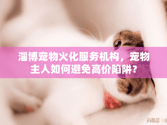 淄博宠物火化服务机构，宠物主人如何避免高价陷阱？
