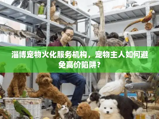 淄博宠物火化服务机构，宠物主人如何避免高价陷阱？