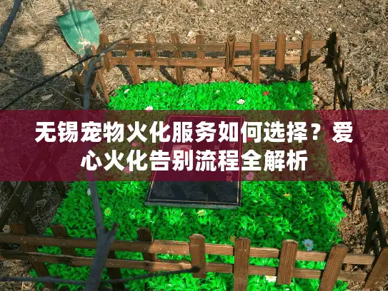 无锡宠物火化服务如何选择？爱心火化告别流程全解析