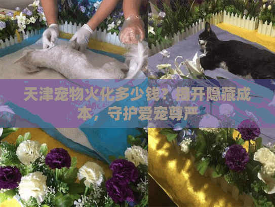 天津宠物火化多少钱？揭开隐藏成本，守护爱宠尊严