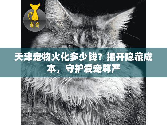 天津宠物火化多少钱？揭开隐藏成本，守护爱宠尊严