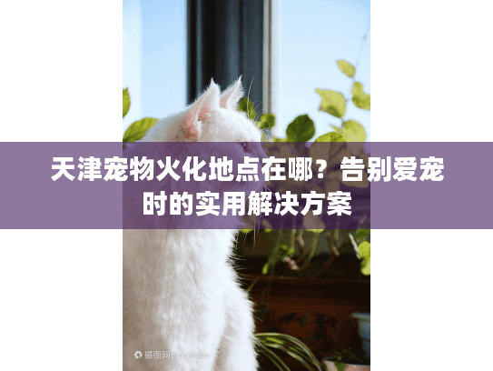 天津宠物火化地点在哪？告别爱宠时的实用解决方案