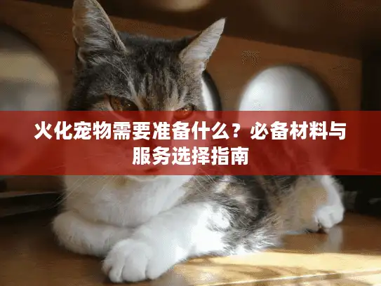 火化宠物需要准备什么？必备材料与服务选择指南