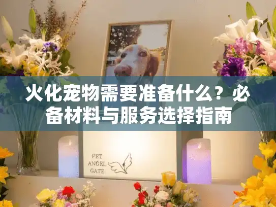 火化宠物需要准备什么？必备材料与服务选择指南
