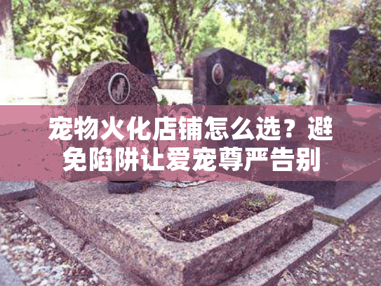 宠物火化店铺怎么选?避免陷阱让爱宠尊严告别 宠物火化店铺怎么选?避免陷阱让爱宠尊严告别