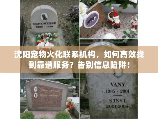 沈阳宠物火化联系机构,如何高效找到靠谱服务?告别信息陷阱! 沈阳宠物火化联系机构,如何高效找到靠谱服务?告别信息陷阱!