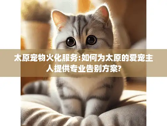 太原宠物火化服务:如何为太原的爱宠主人提供专业告别方案?