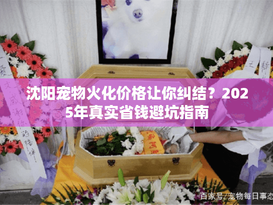 沈阳宠物火化价格让你纠结？2025年真实省钱避坑指南