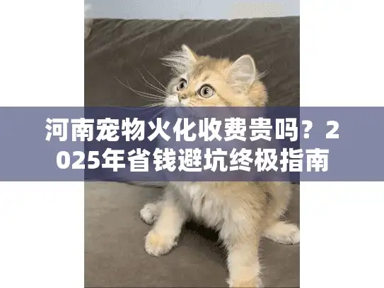 河南宠物火化收费贵吗？2025年省钱避坑终极指南