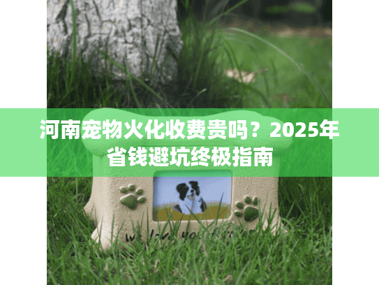 河南宠物火化收费贵吗？2025年省钱避坑终极指南